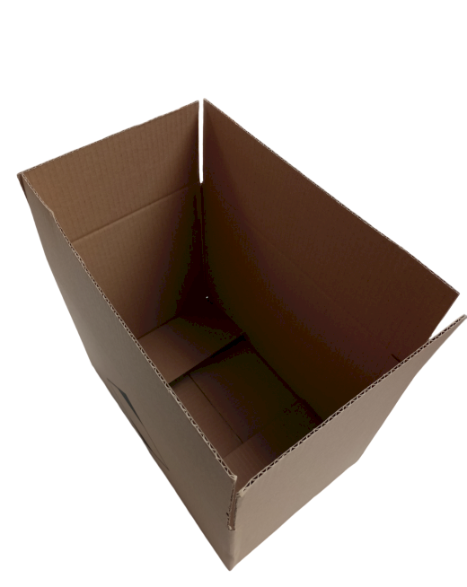 7887-img_20240919_114034