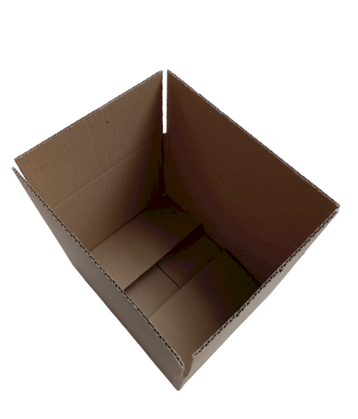 5326-img_20240919_112620