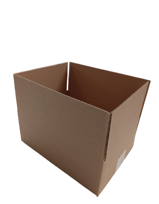 4627-img_20241007_132932