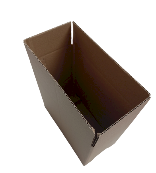 3805-img_20241007_100913