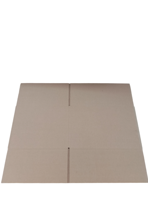 4029-img_20241014_133825