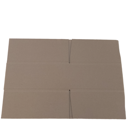 1184-img_20240925_100744