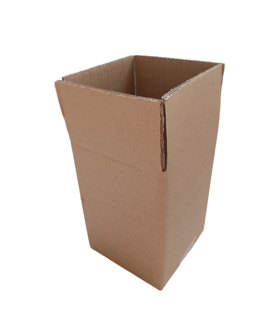 6325-img_20241008_140629