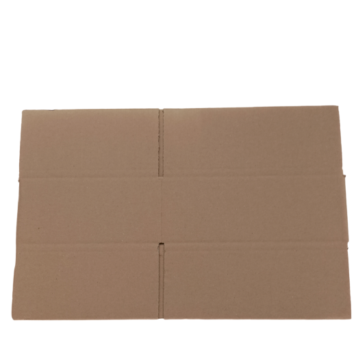 4368-img_20240916_112209