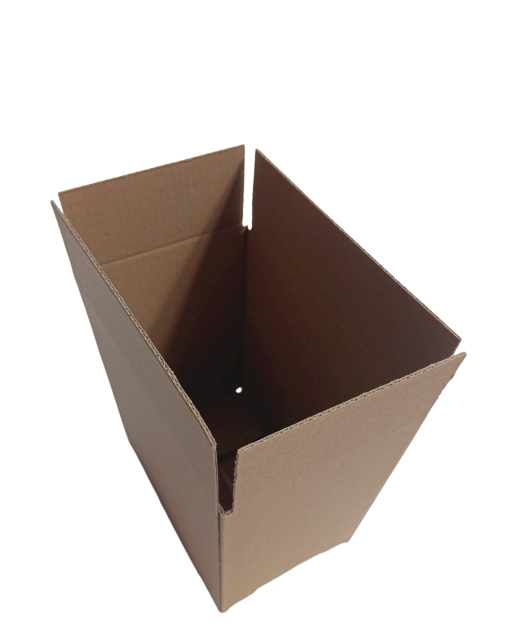 4626-img_20240902_124756