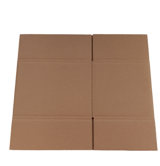 4199-img_20240919_131743