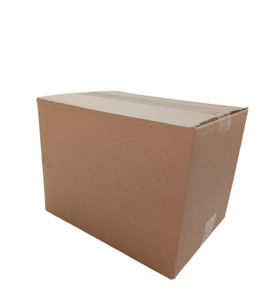 4199-img_20240919_131818