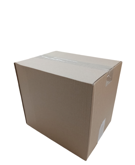 919-img_20241010_115059