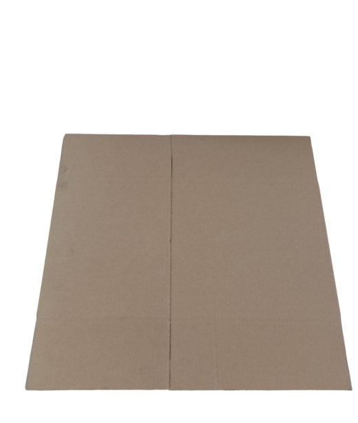 919-img_20241010_115029