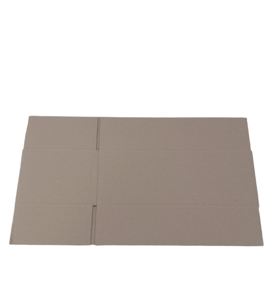 577-img_20240925_095313