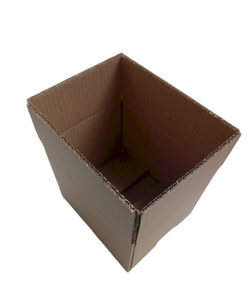 7033-img_20241007_084915