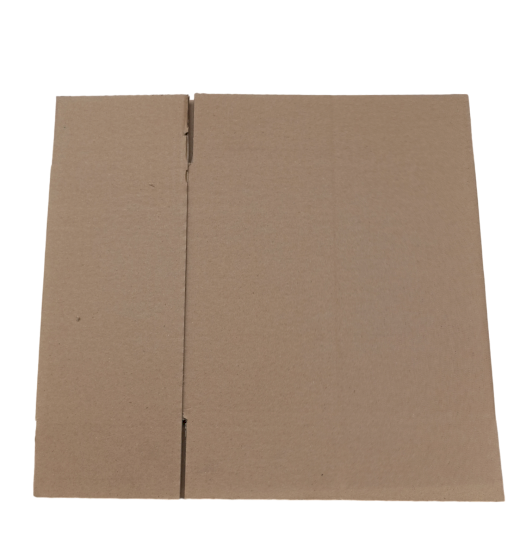 3805-img_20241007_100845