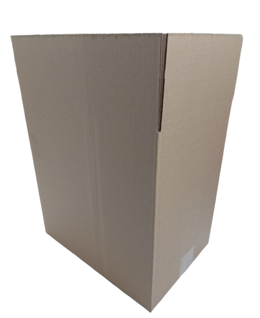 3731-img_20241010_113859