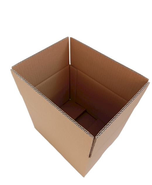 4199-img_20240919_131807