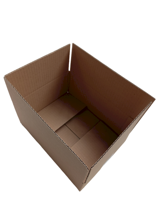 4627-img_20241007_132952