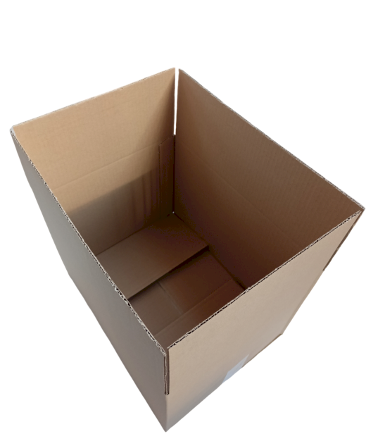 3483-img_20241010_092019