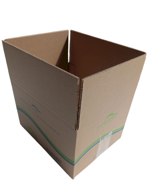 1037-img_20240830_155841