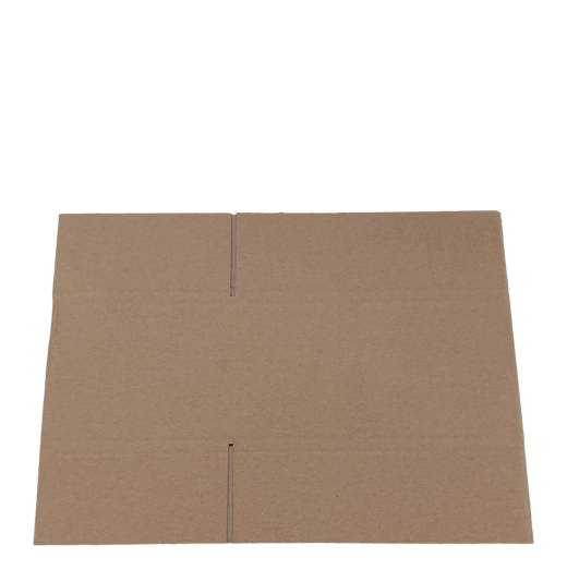 3378-img_20240919_093554