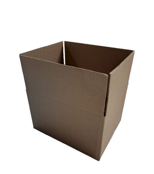 5326-img_20240919_112609