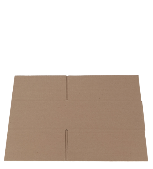 4627-img_20241007_132921