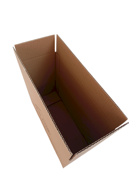 3159-img_20240919_115536