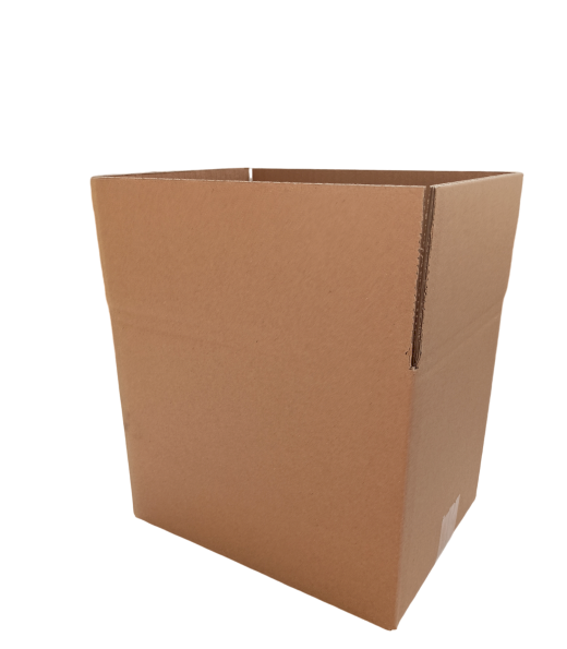 4199-img_20240919_131755