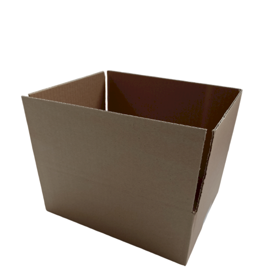 4368-img_20240916_112223