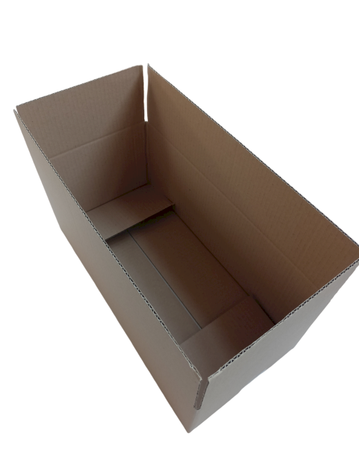 577-img_20240925_095337