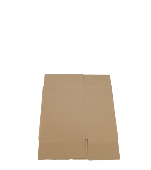 5377-img_20241007_153851