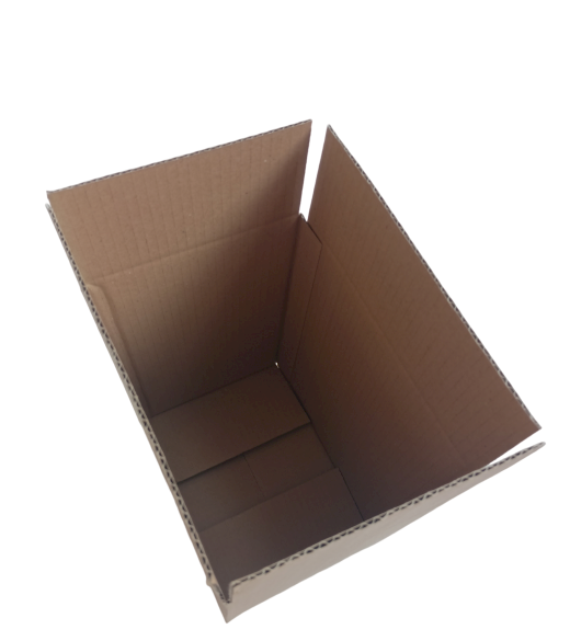 3165-img_20240828_132517