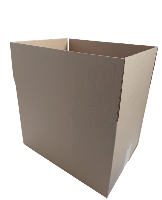 3483-img_20241010_092008