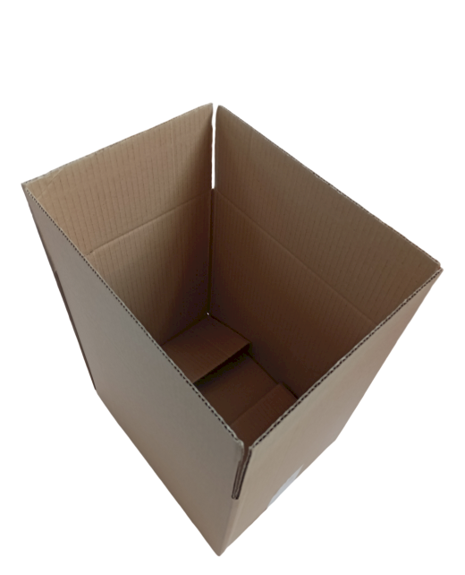 919-img_20241010_115050