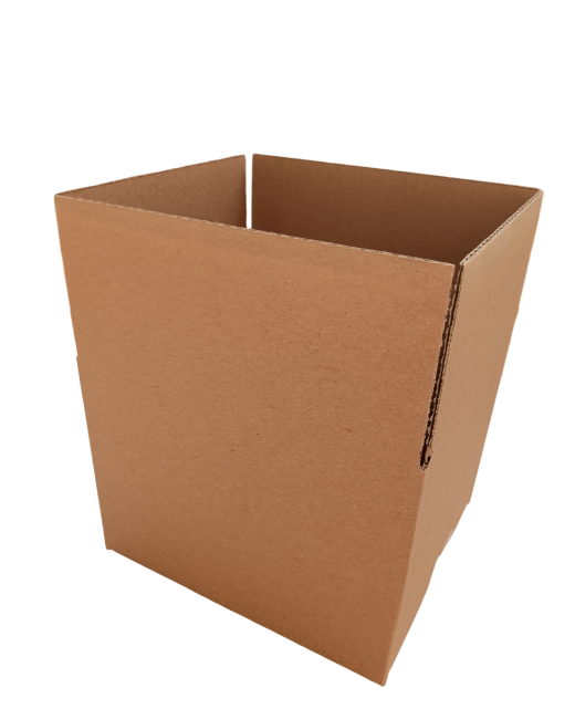 6232-img_20241008_143300