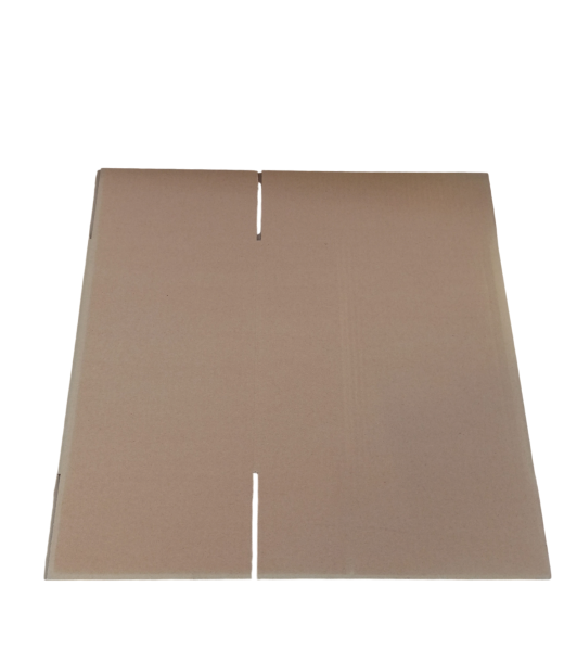 2649-img_20241010_112714