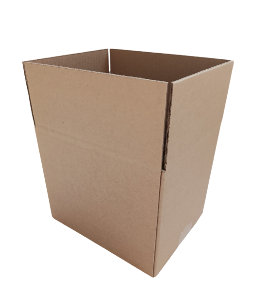 7431-img_20241009_110134