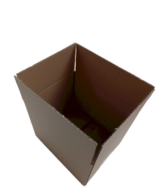 390-img_20241007_113514