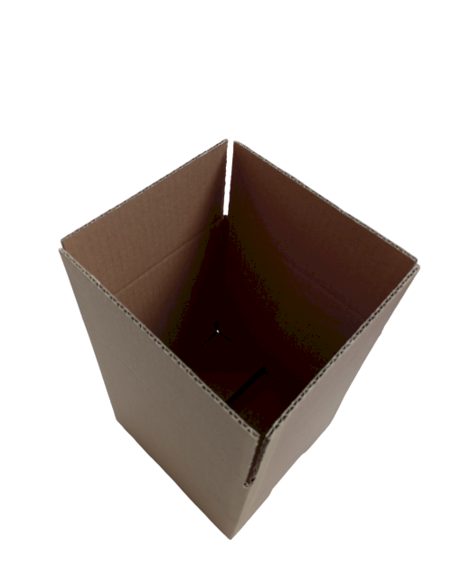 5134-img_20241010_124257