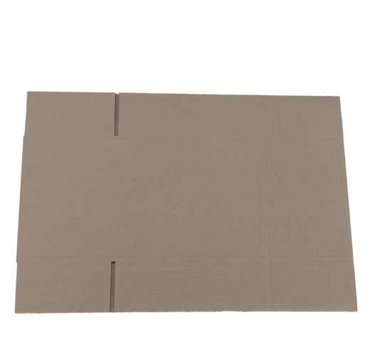 1025-img_20240924_132117