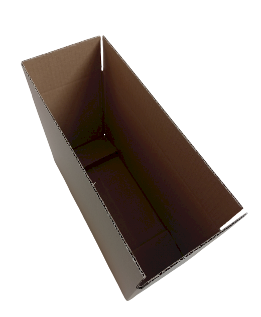 1025-img_20240924_132142