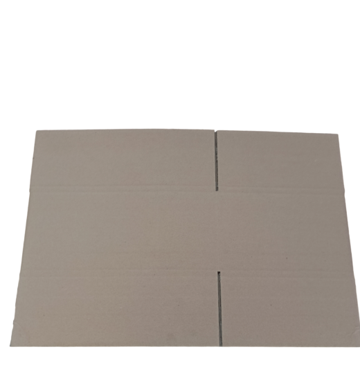 6996-img_20240925_082547