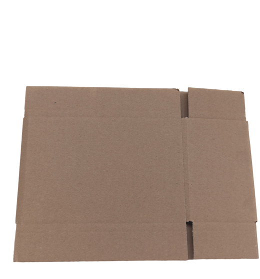 4462-img_20240827_100959