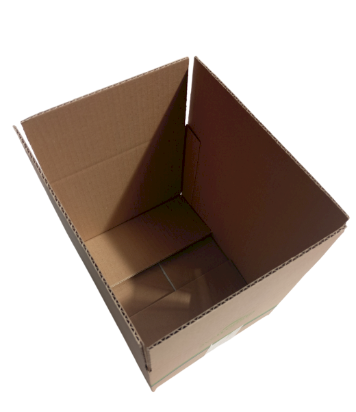 1037-img_20240830_155853