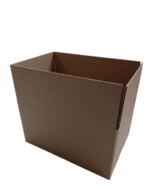 3378-img_20240919_093606