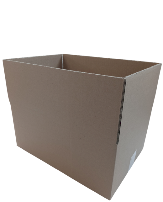 6996-img_20240925_082602