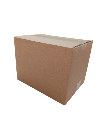 4199-img_20240919_131818