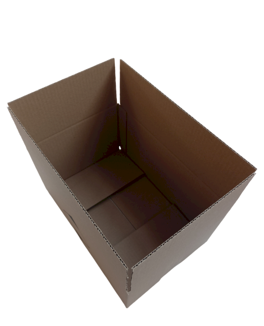 1474-img_20240925_083902