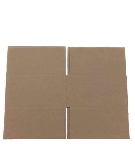 298-img_20241007_115311