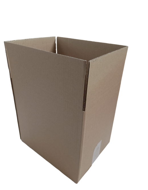 919-img_20241010_115039