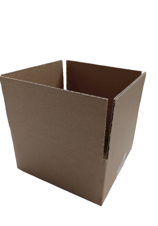 298-img_20241007_115355