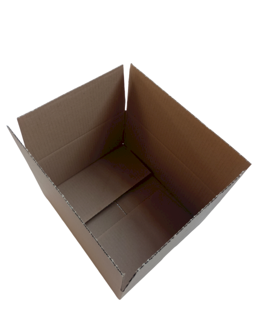 1184-img_20240925_100808